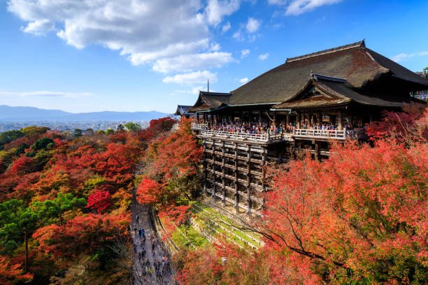 Kyoto Full Tour - Image 4